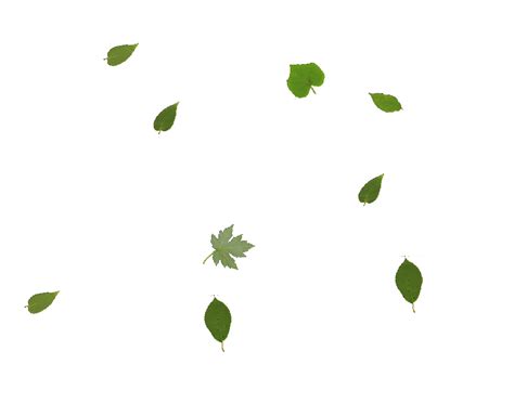 falling leaf gif|falling leaves gif transparent.